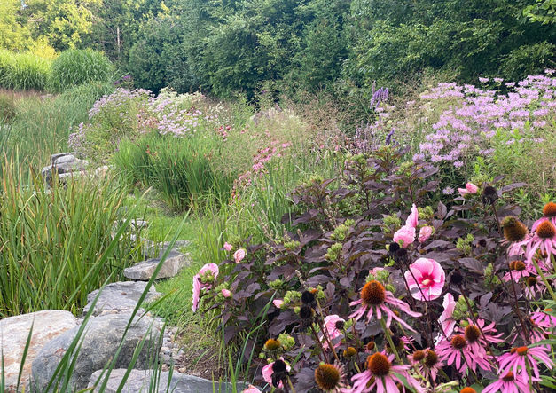 Retreat Landscape - Pond & Stream Plantings