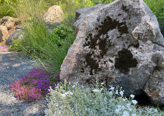 Rock Garden - Summer