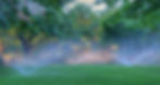 sprinklers_edited.jpg