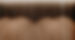 All Wood Interior_edited.jpg