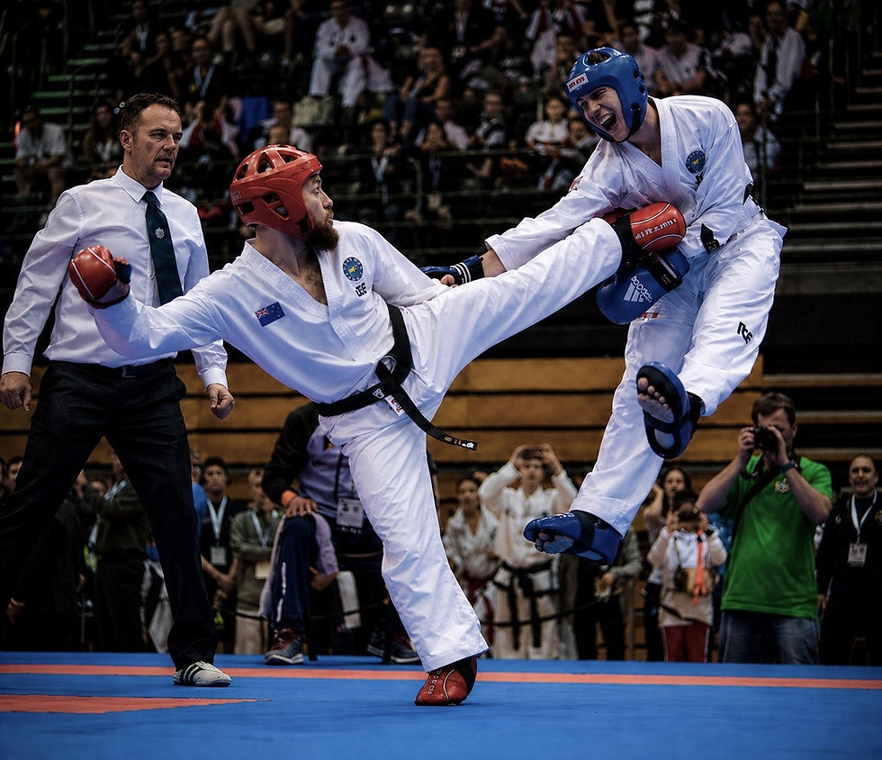 tkd.jpg