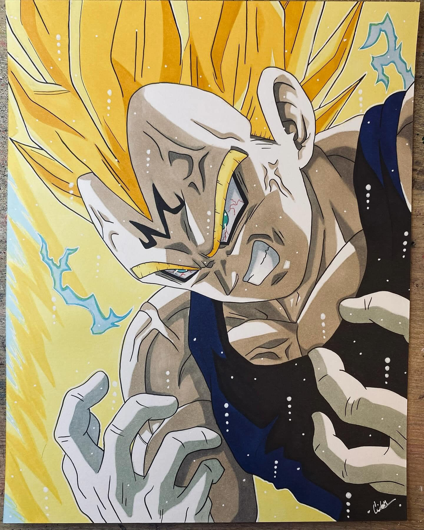 Vegeta 11x14