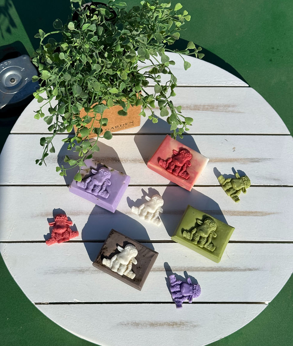 Ewe Stink (a lil bit) Mini Gift Set