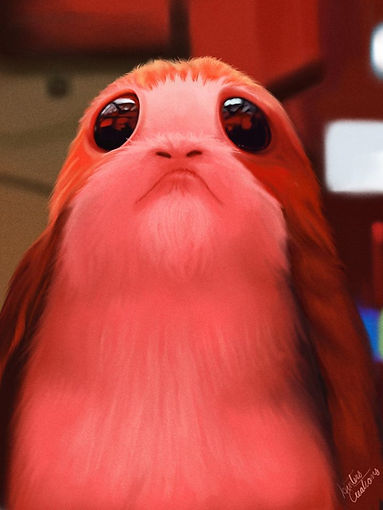 51155518_769421973438063_564640050969575