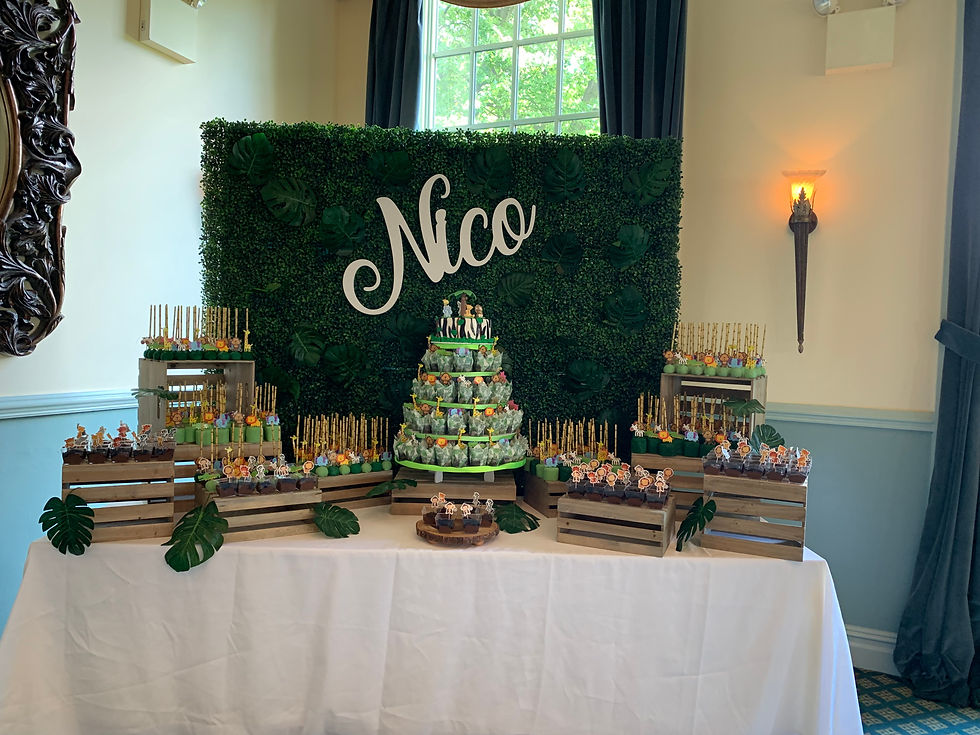 Jungle Theme Baby Shower