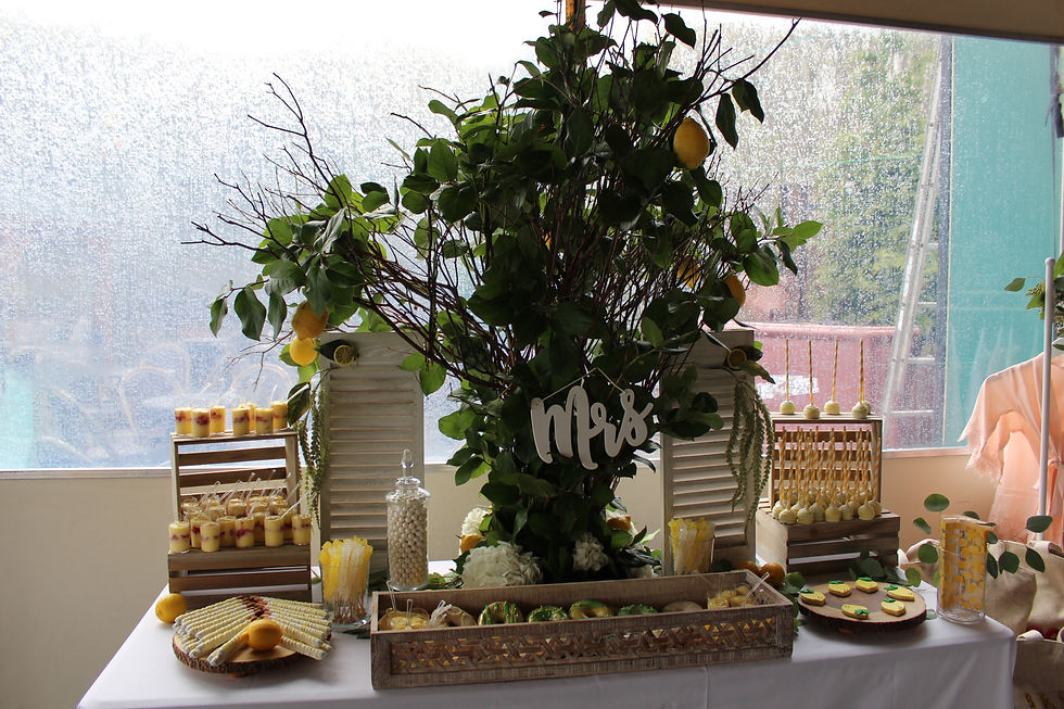 Lemon Tree Display
