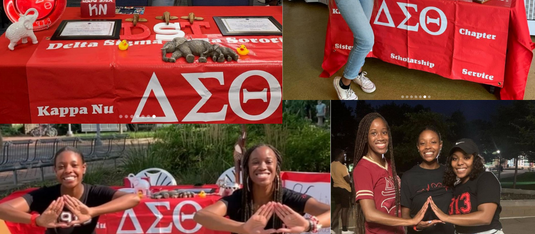 Delta Sigma Theta Sorority, Inc.