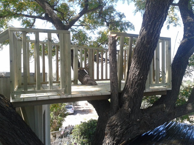 20150604_100023.jpg