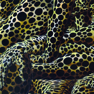 Op.36 #6(8) 38 x 55 La Caresse.jpg