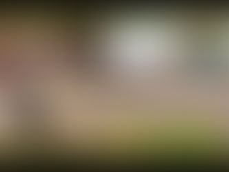 Operação Sahda Ehlm