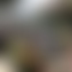 2020/11/8  ホッチポッチミュージックフェスティバル　DAY2出演しました！