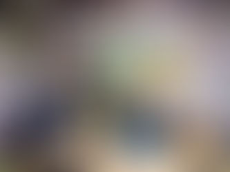 2023/12/3　工作ワークショップ　ダンボールで動物をつくろう！ 【いちごハウスに集まろう！】