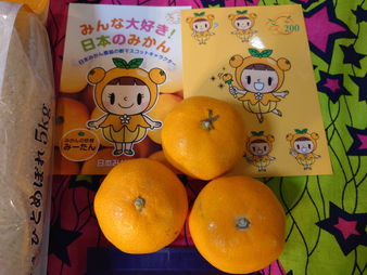 2022/11/28・29 2022年度 第8回いちご食堂フードパントリー🍊