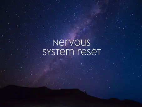 Daily Nervous System Reset Plan