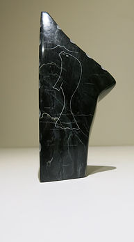AS102-2.jpg