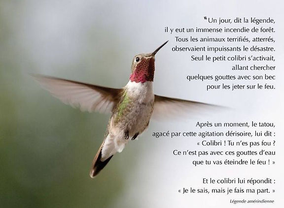 légende_colibri.jpg
