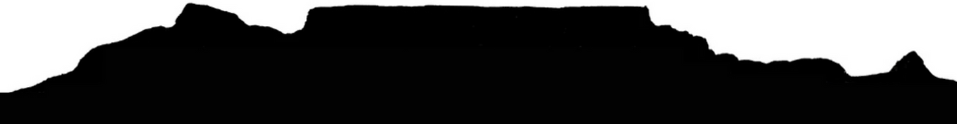 CT OUTLINE_edited.png