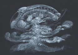 MYCELIUM RISING | Martina Hoffmann