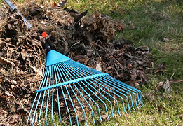 Spring cleanup, rake in the garden.jpg