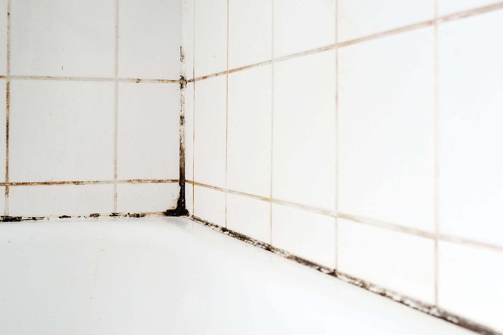 La Importancia de un Buen Cancel de Baño