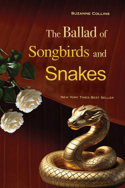 Asymmetrical Book Cover