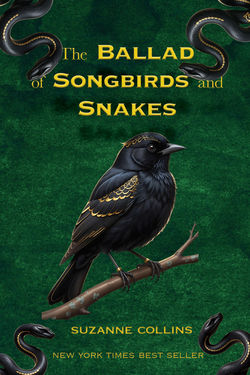 Symmetrical Book Cover