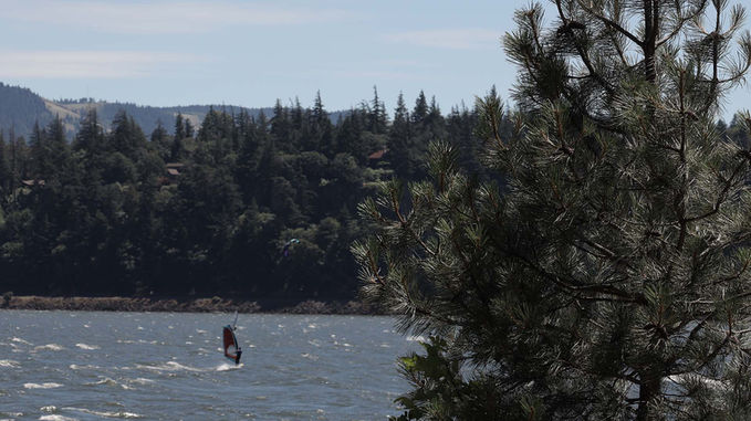 Windsurfer on the water