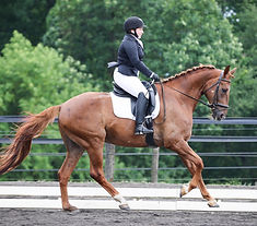 petey canter.jpg