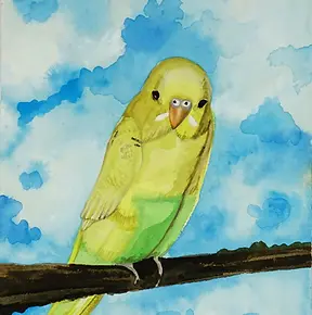 Watercolor-Budgie.webp