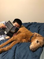 IMG_7900.jpeg
