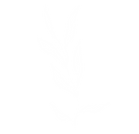Assets Plantas Branco-02.png
