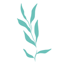 Assets Plantas Cian-02.png