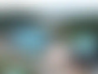 [경상일보] 젠코리아 스틸 - 법무법인 디케이와 법률 자문 계약 추진