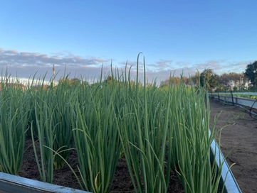 KakaoTalk_Photo_2023-03-30-12-05-43 010.jpeg