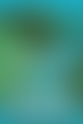 BOOK REVIEW - EVERYTHING IS WATER by Simon Cleary