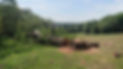 received_665830024864575.jpeg