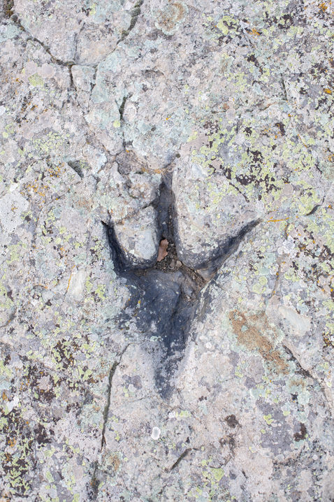 tierras altas-16.jpg