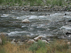 Fishery Notice - September 16, 2026