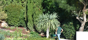 DSC_0211.JPG