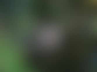 ENERGY SHIFT NOTIFICATION