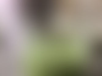 Feeling run down or fatigued?