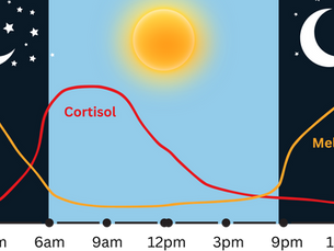 Circadian Rhythms of Cortisol and Melatonin
