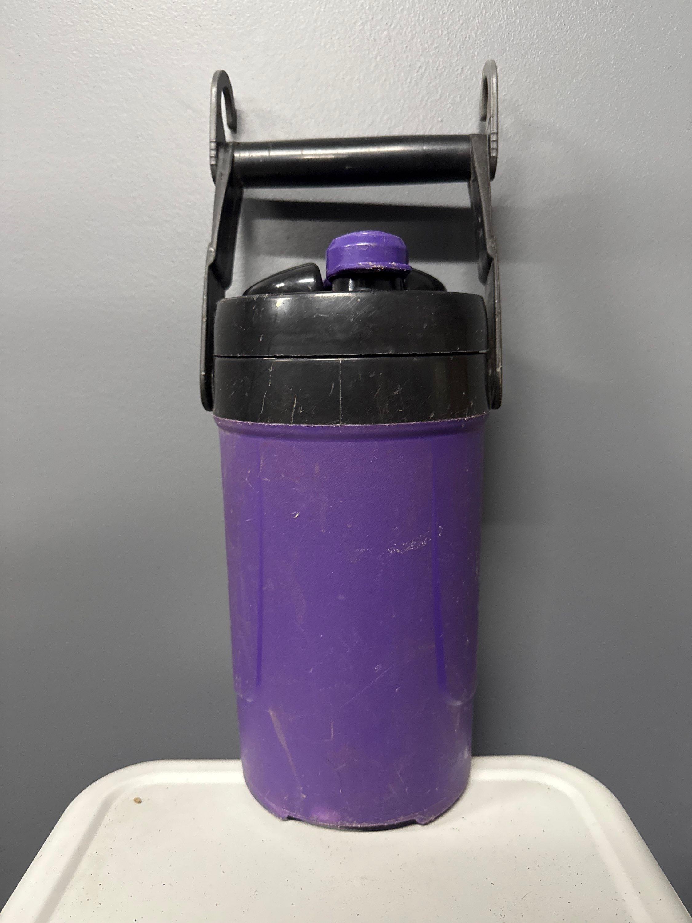 Igloo Purple Fence Hanging Water Bottle