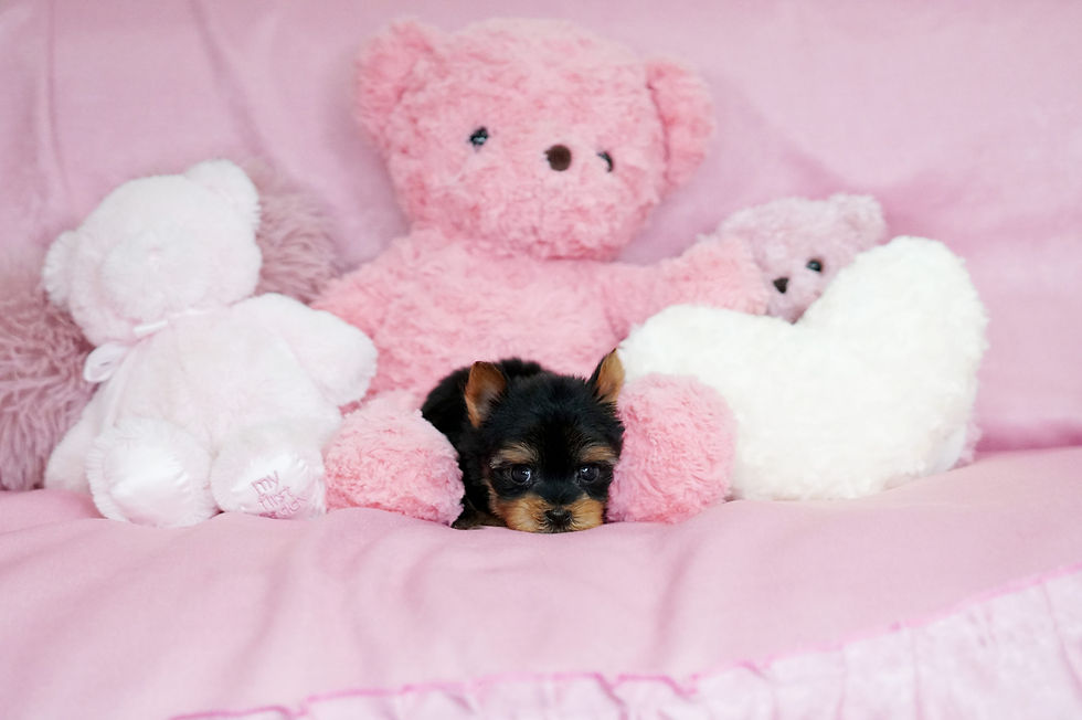 自分が出せない“仮面の恋”、なぜこんなに苦しいの?