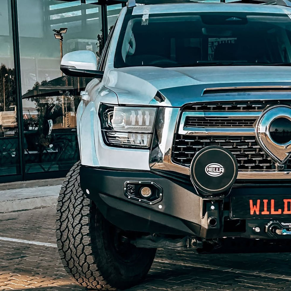 Thumbnail: Wildog Front Bar for GWM Cannon Alpha