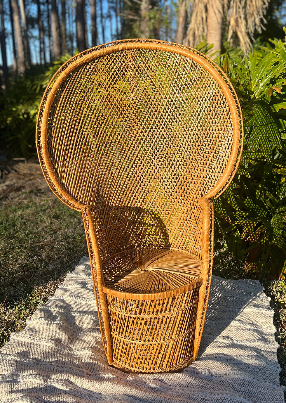 Large wicker peacock chairs rental for weddings, birthdays, baby showers and bridal events in Jackso