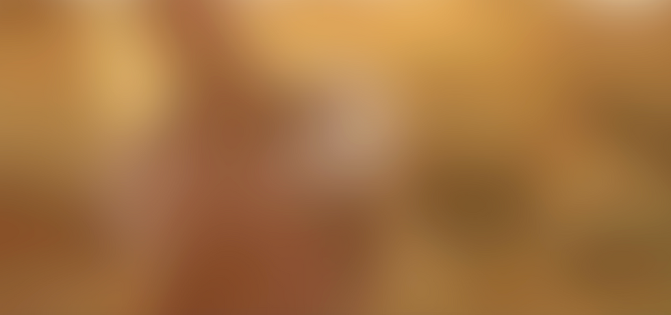 Screenshot 2026-04-23 at 10.43.57.png