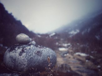 DSC02797-01.jpeg