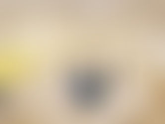 Pediatric Physical Therapy - More than Just the Milestones.