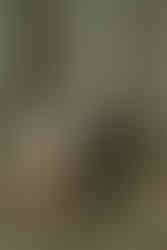 the bride and groom at their manhattan city hall wedding